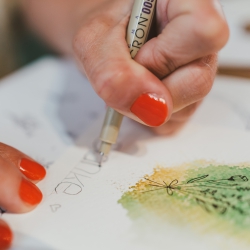 Fea Design Zebraschaf Workshop 25.4.25-